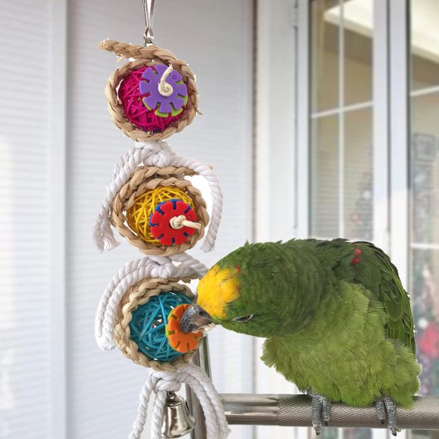 aliexpress wiszące zabawki dla ptaków
